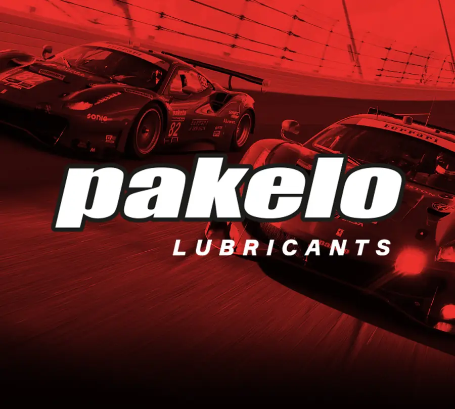 Proyecto de Negocio Vivo para Pakelo
