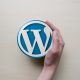 ¿Cúal es la diferencia entre páginas y entradas en WordPress?